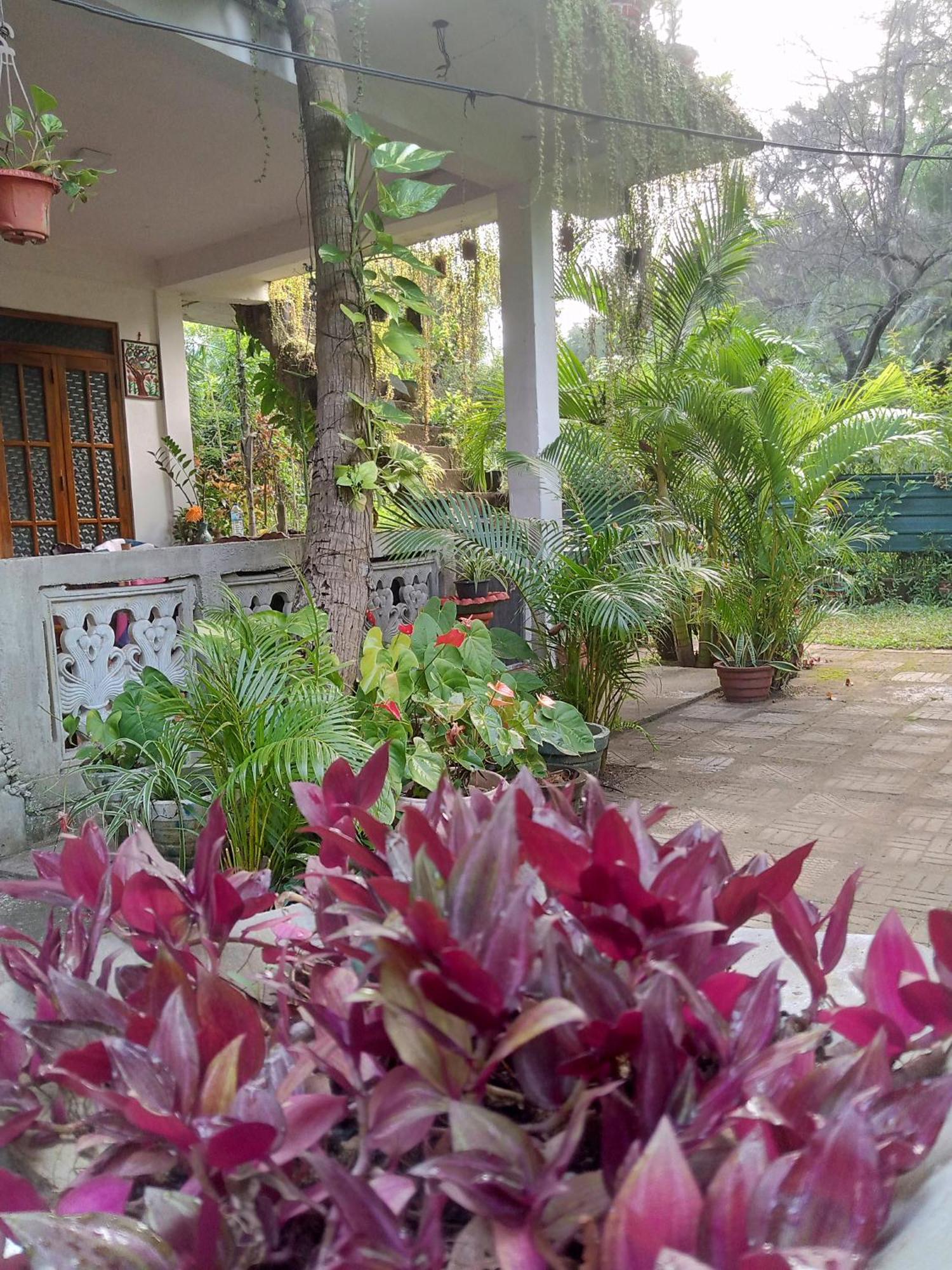 Nelum Home Stay Sigirîya Extérieur photo