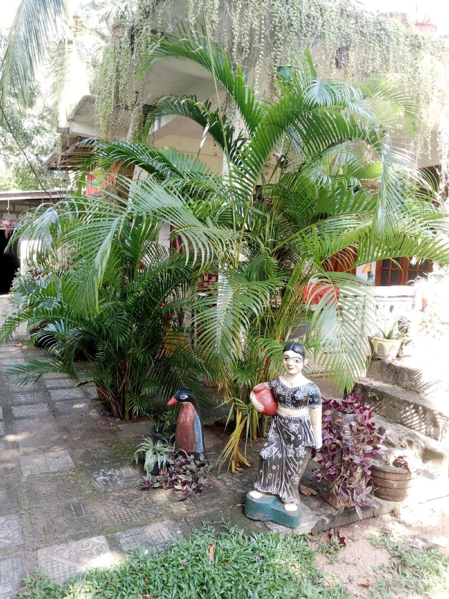 Nelum Home Stay Sigirîya Extérieur photo