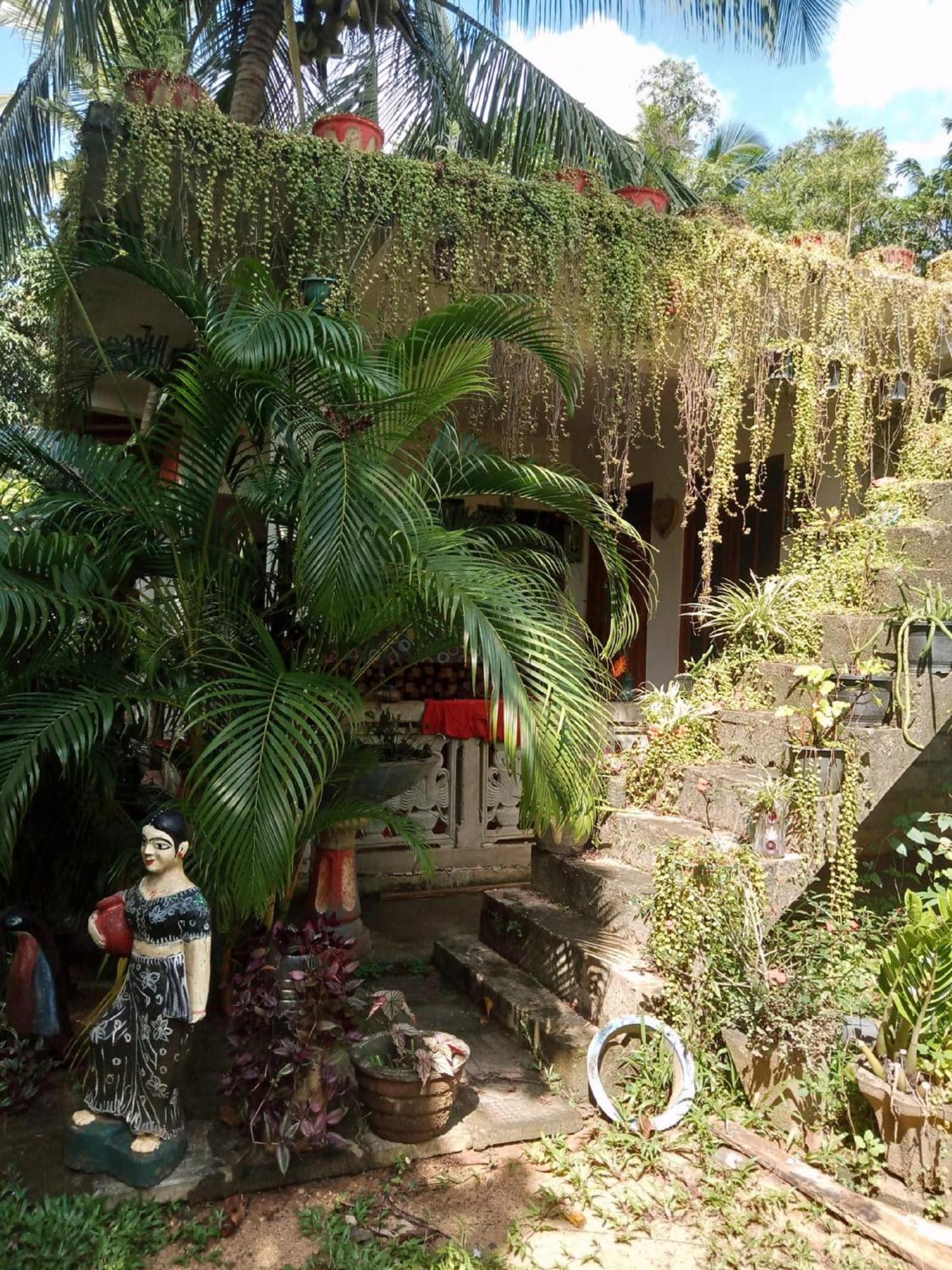 Nelum Home Stay Sigirîya Extérieur photo